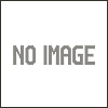 リディー&スールのアトリエ 不思議な絵画の錬金術士 WonderGOO特典 描き下ろしB2タペストリー